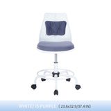 Office Chair/Task Chair