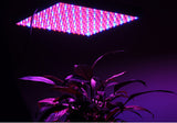 LED Grow Light "Red Dawn II" - 225 LEDs, Red + Blue Wavelength Light, 14Watt