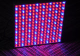 LED Grow Light "Red Dawn II" - 225 LEDs, Red + Blue Wavelength Light, 14Watt