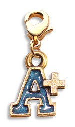 A+ Charm Dangle