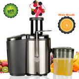 800W 110V Home Use Multi-function Electric Juicer Black