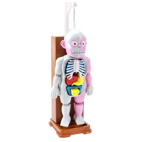 Children Cartoon Tricky Fun Simulation Doll Game Figure Toy Decoration for Kids Human body model