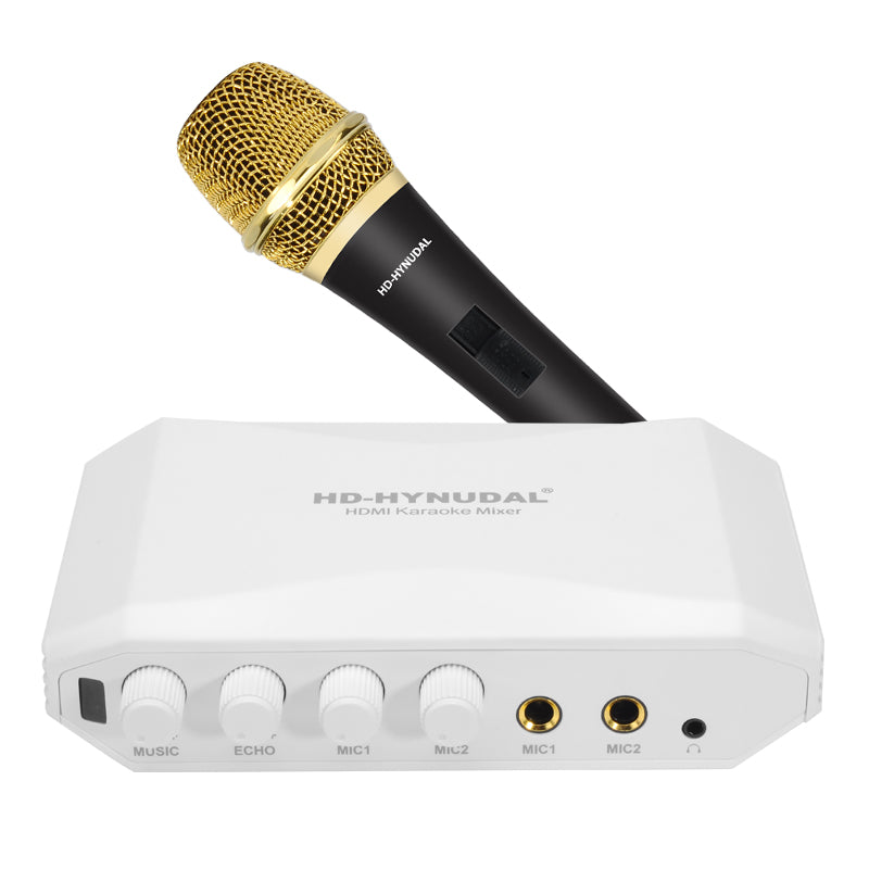 HD-Hyundal HDMI Karaoke Mixer - Dual Microphone Input, Echo Effect, Individual Volume Controls