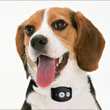 GPS Pet Tracker - 4 Band GSM, GPRS Tracking, Geo-Fencing, 90 Days Route Checking