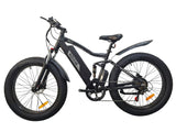 electric bicycle