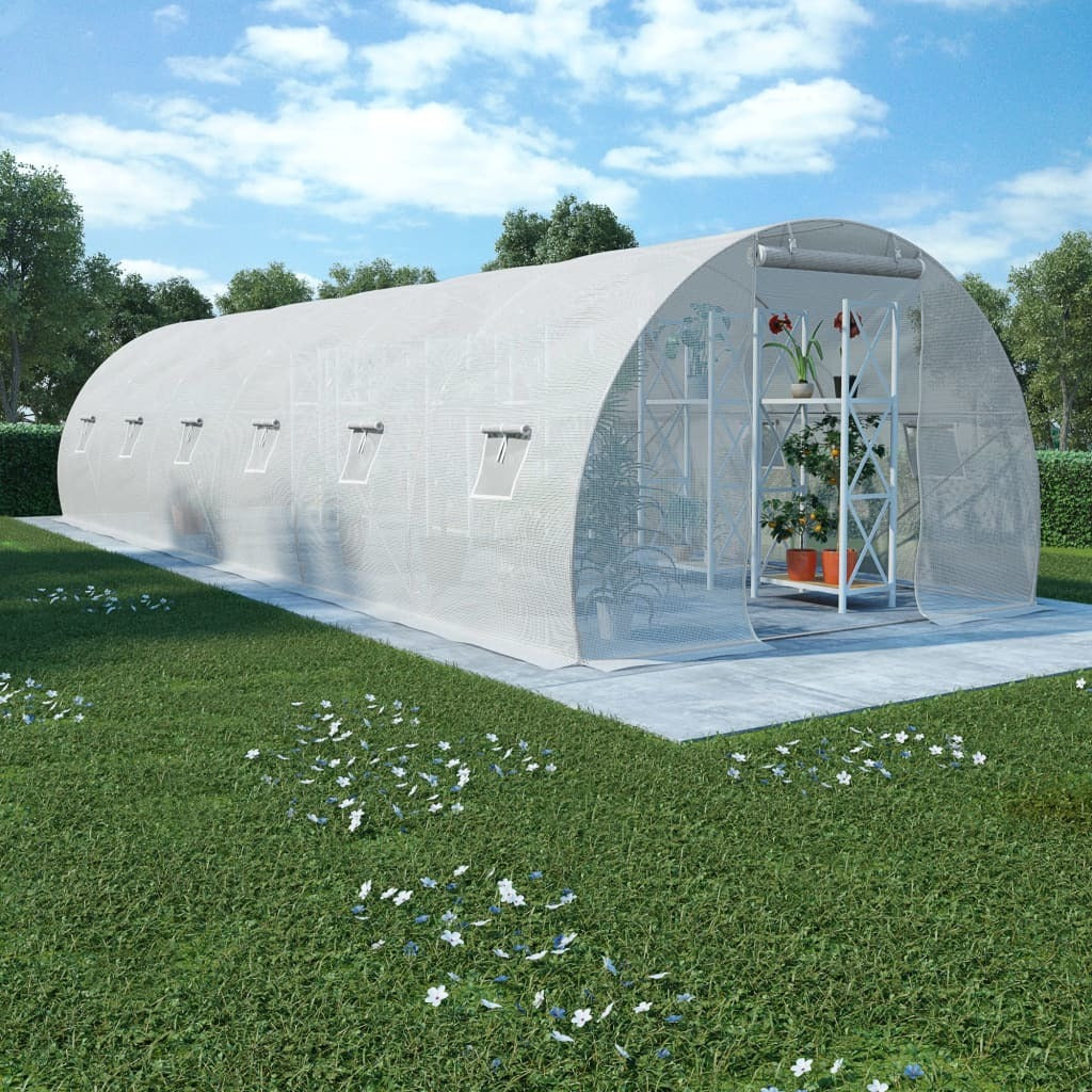 Greenhouse 290.6ft² 354.3"x118.1"x78.7"