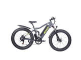 electric bicycle