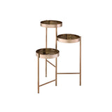 ACME Namid Plant Stand, Gold YF