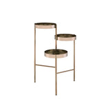 ACME Namid Plant Stand, Gold YF