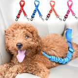 Elastic Reflective Safety Rope Traction Belt for Pet Dogs Supplies Car Seat blue