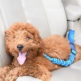 Elastic Reflective Safety Rope Traction Belt for Pet Dogs Supplies Car Seat Pink