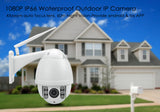 IP66 Outdoor IP PTZ Dome Camera - 1/3 Inch Sony CMOS, Pan, Tilt, 4 Times Zoom, 60M Night Vision, 1080P, SD Card, Remote View